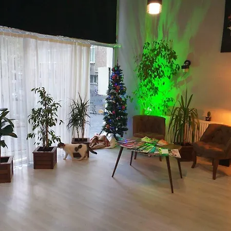 Zion Butik 2*